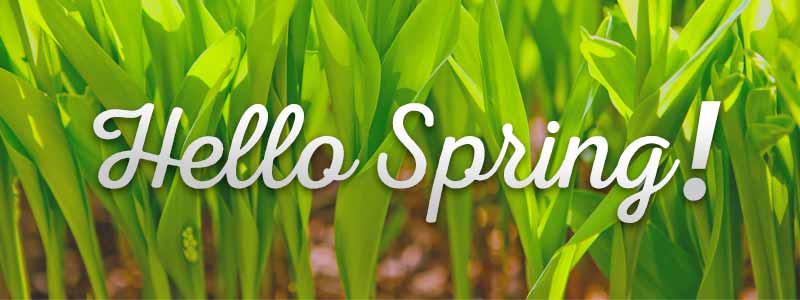 CSI Grower Grazier Newsletter – Winter 2016